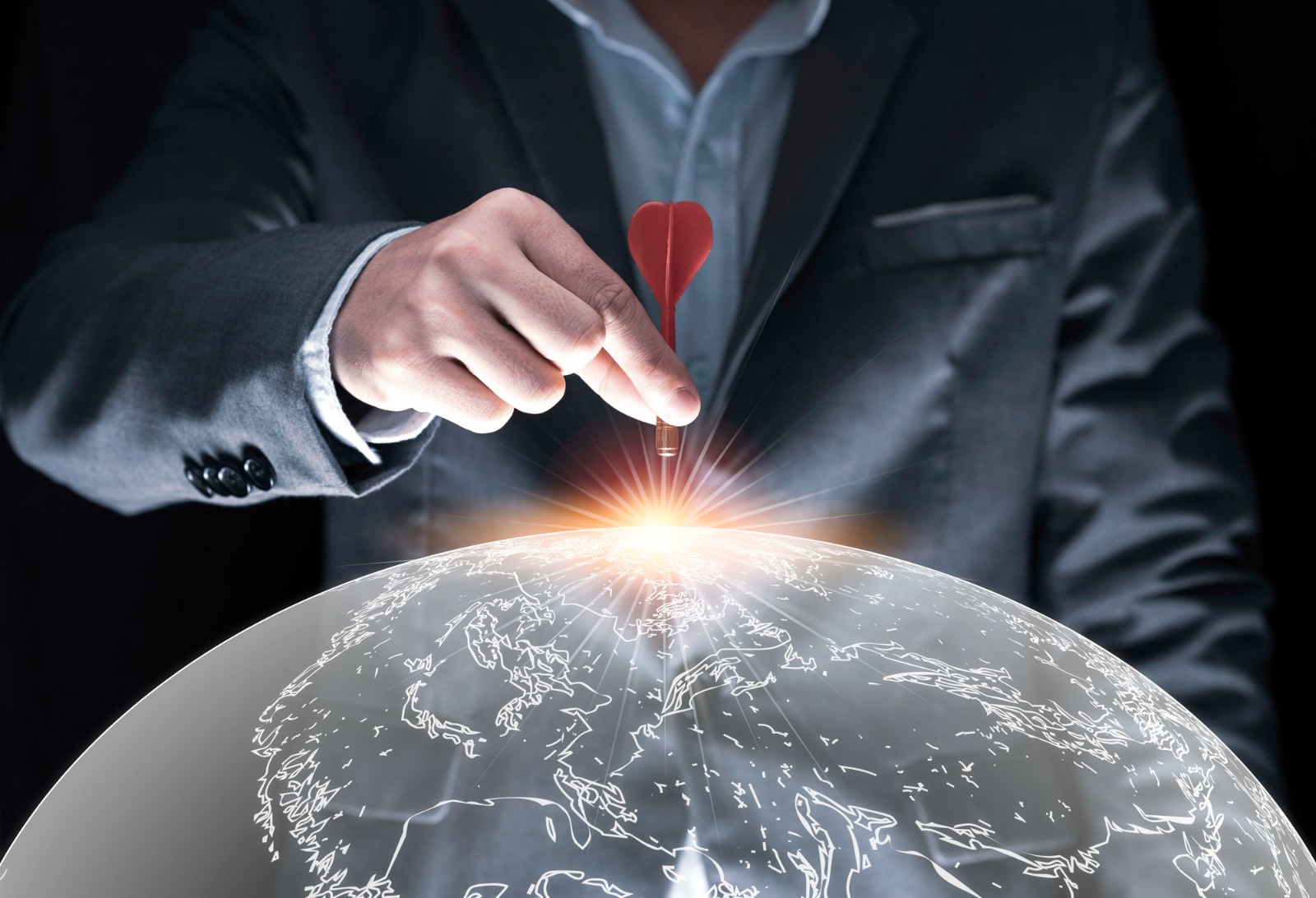 Organic wood interior